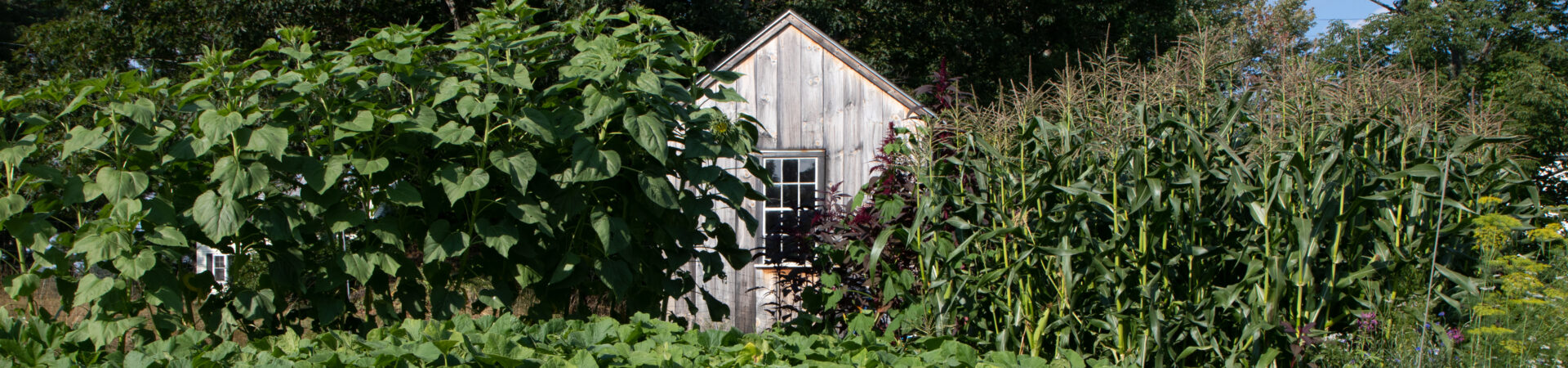 Harrisville Community Garden